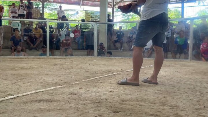 Ito nanamn maalat nanaman 🐓🫡