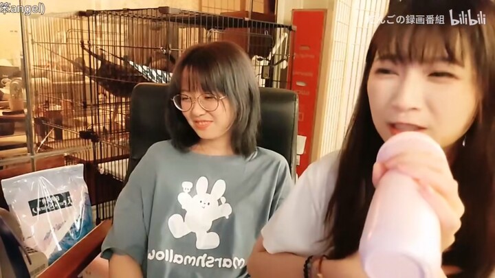 【หมีสิงโต】ไอสิงโตน่ารังเกียจ! ขโมยการ์ดหมีของฉันไปกอดไว้ในอ้อมแขนเลย～