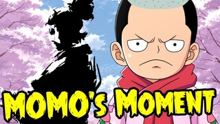 Momo's Moment!! Will He Travel With The Straw Hats? - One Piece Discussion | Tekking101