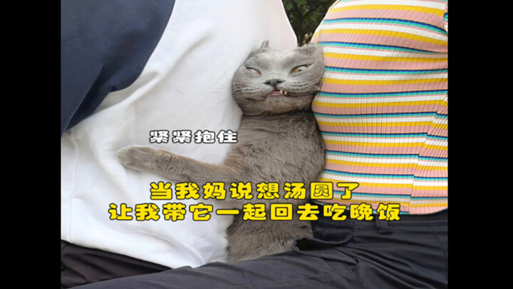 Tangyuan: Do you think it’s easy for me to make a trip to Grandma’s house?