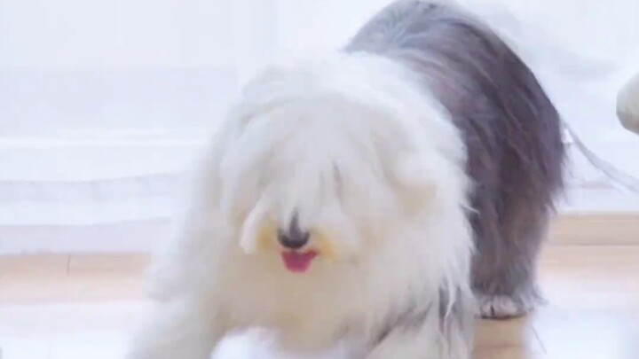 ช่างเป็นทีมออลสตาร์จริงๆ แต่ตอนเด็กๆ ฉันล่ะ