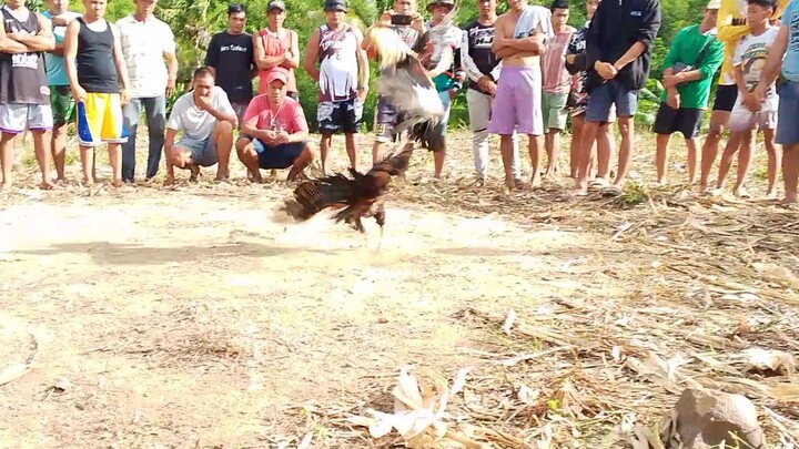 Talisayon🥰