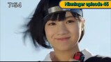 Ninninger episode 45