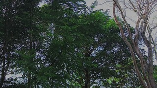 Nikmati hidup dengan pemandangan alam
