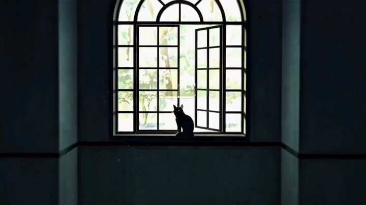 Em ơi đừng khóc….