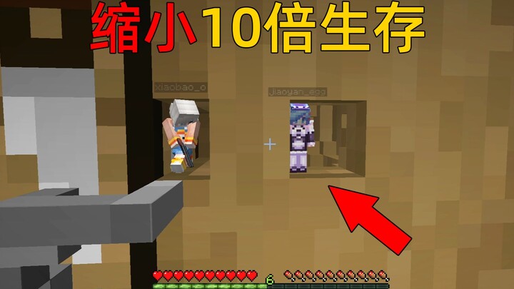 MC khi cơ thể nhỏ lại gấp 10 lần! Tôi xây nhà trong khối vuông?