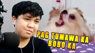 Try not to laugh Challenge | Pag tumawa ka, bobo ka!