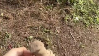 这个棍子谁要 包邮出