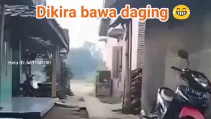 dikira Bawa daging