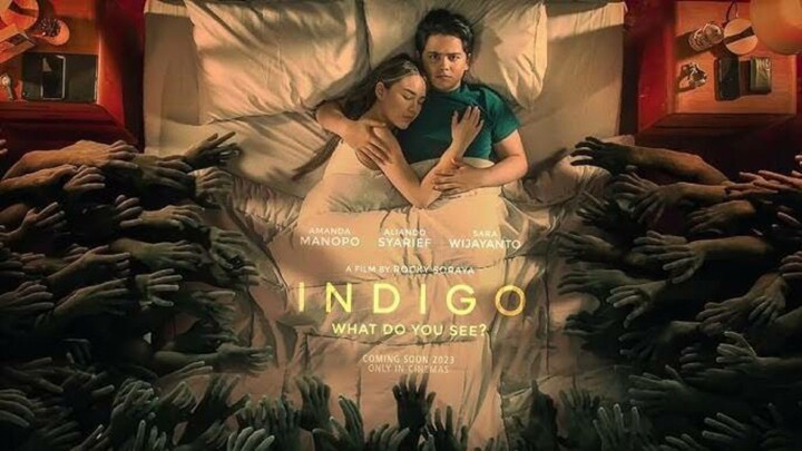 Indigo:What Do You See?(2023)
