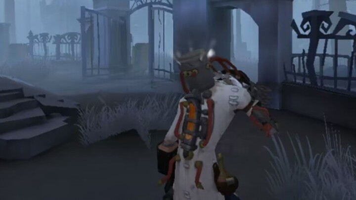 Con mèo ngốc trốn tránh con chó cái