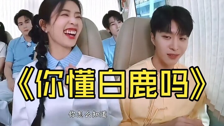 Do You Understand Bai Lu? — Jiaxin of the Entertainment Industry