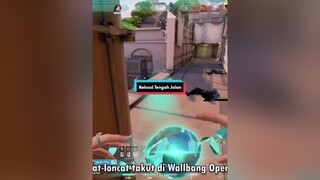Lagi asik Duel malah reload.😅 Ada yang pernah ngalamin juga? valorant valorantindonesia valorantclip valorantclips indonesia fyp