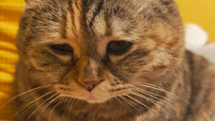 Mom doesn't like touching me?