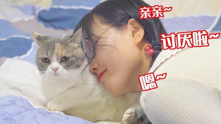 Nũng nịu với mèo là có thể làm gì cũng được ư? Mèo: Tôi choáng rồi, chẳng né đâu!