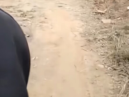 Hãy để mỗi sinh mệnh đều được sống một cách tôn nghiêm #an toàn nữ giới#muôn màu xã hội#công lý#hôn 