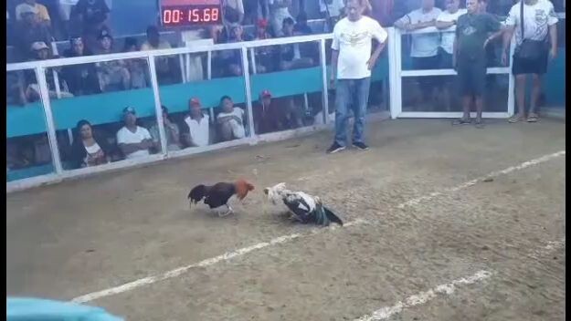Dec. 23, 2023 2hits Ulutan 2nd fight