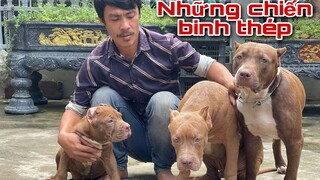 P1. Đàn Thú Cưng Của Sư Phụ Săn Bắt Ẩm Thực Vùng Cao Có Bao Nhiêu Chiến Binh ???