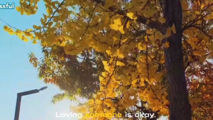 Dear x