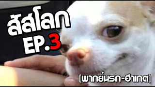 สัสโลก ep 3 พากย์นรก / / ฮาเกต Pet Talk