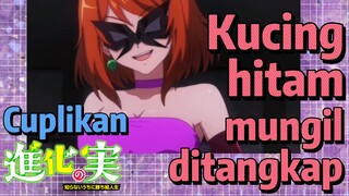 Cuplikan | Kucing hitam mungil ditangkap