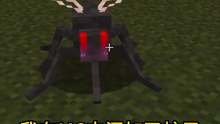I added mosquitoes to MC