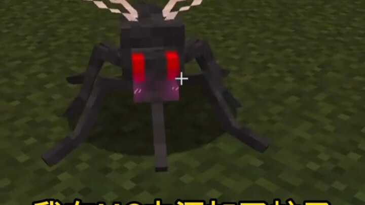 ฉันเพิ่มยุงให้กับ MC