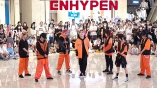 【ENHYPEN】Cao và đẹp trai ở phía trước! ! Vũ đạo cover road show toàn nữ Blessed-Cursed! Hát theo và 