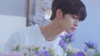 [K-POP|Bae Jinyoung] Video Musik Solo|BGM: Hard To Say Goodbye