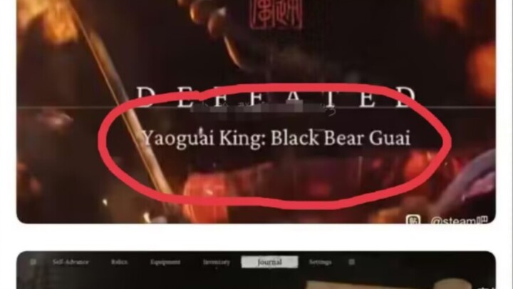 Black Bear Guai — Internet Meme Image Compilation 215