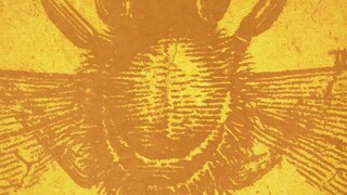 T.H.E.B.E.E.K.E.E.P.E.R