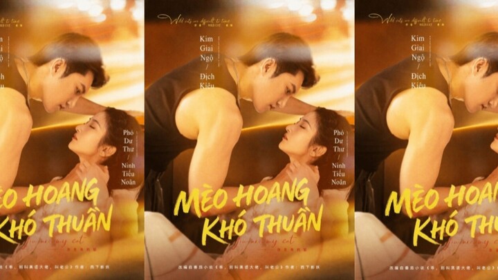 TRỌN BỘ - MÈO HOANG KHÓ THUẦN ( Kim Giai Ngộ , Phó Dư Thư )