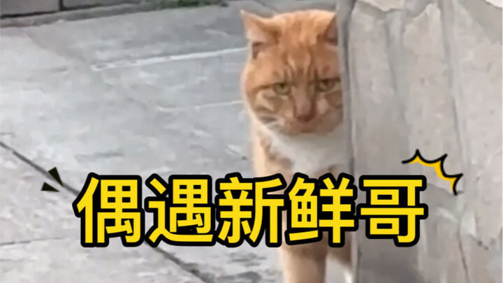 A netizen ran into “Fresh Brother”—my brother is still just as charming.