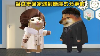 当过年回家遇到断崖式分手时