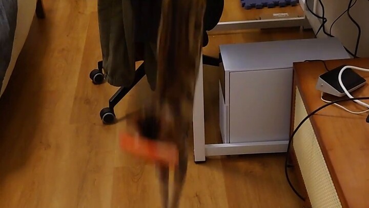 Although I am very reluctant, I still give you the shrimp~