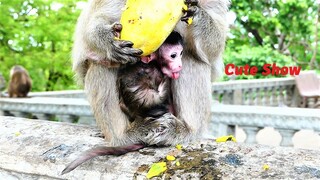 Poor Mother Rana Brings Her Lovable Newborn Baby to Visit Her Relatives on High Stupa