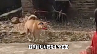 我会好好养它的