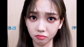 งูก็ทำตัวเหมือนเด็กเอาแต่ใจเหมือนกันเหรอ? "ฉันไม่เคยทำตัวเหมือนเด็กเอาแต่ใจ"
