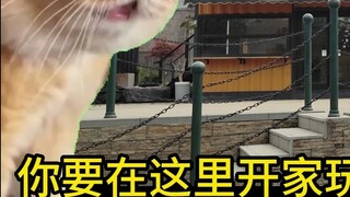 Bạn muốn mở một cửa hàng trò chơi điện tử ở đây? ? ?