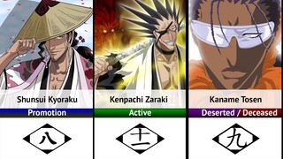 Bleach – All Gotei 13 Captains and Lieutenants