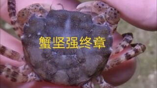 Crab Strong Finale