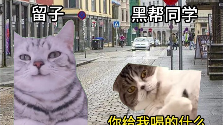 留子神秘的东方力量Be like