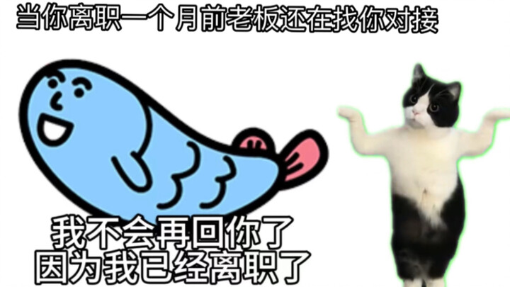 【มีมแมว】 ตอนที่ตลาดงานย่ำแย่ ผมก็ลาออกจากงาน