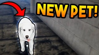 GETTING A PET DOG! | Streamer Life Simulator #8