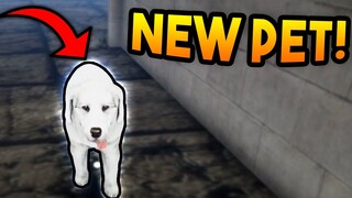 GETTING A PET DOG! | Streamer Life Simulator #8