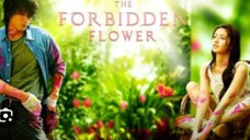 THE FORBIDDEN FLOWER Episode 23 Tagalog Dubbed