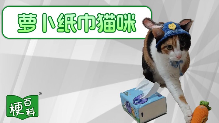 【Bách khoa meme】Mèo giấy lau củ cải là meme gì vậy? Quá đỉnh!