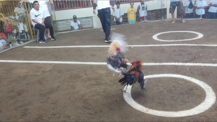 No Excuses it's loss Congrats sa Black🖤♠️