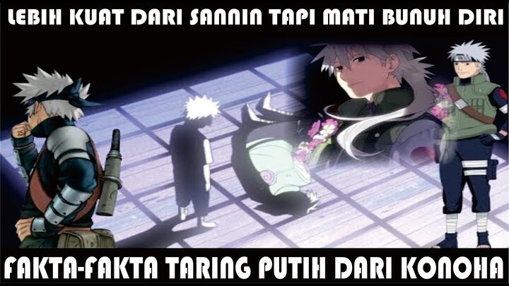 LEBIH MEMILIH TEMAN DARIPADA MISI, TAPI DIHINA SATU DESA!!! FAKTA FAKTA SAKUMO HATAKE