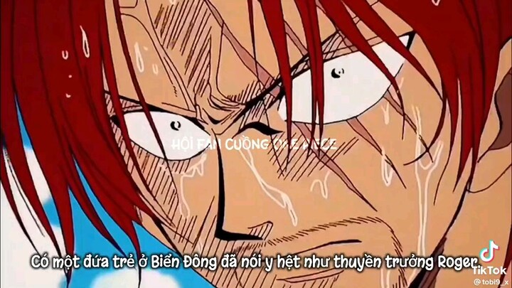 Trailer 25 năm của One Piece